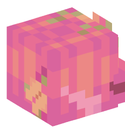 Minecraft head — Creatures