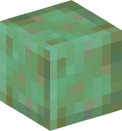 Minecraft head — Blocks