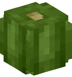 Minecraft head — Plants