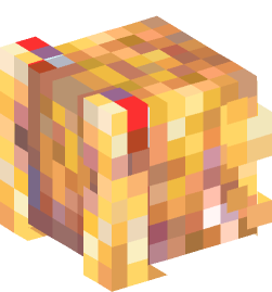 Minecraft head — People