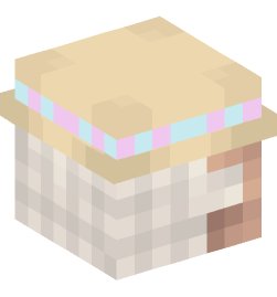 Minecraft head — People