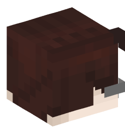 Minecraft head — People