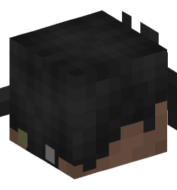 Minecraft head — People