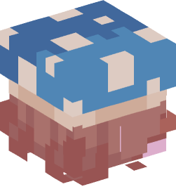 Minecraft head — People