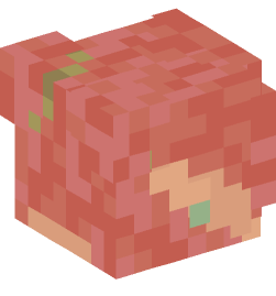 Minecraft head — Creatures