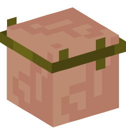 Minecraft head — Creatures