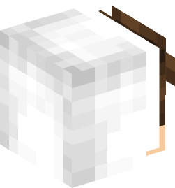 Minecraft head — People