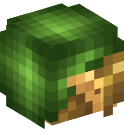 Minecraft head — Creatures