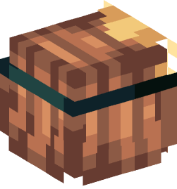 Minecraft head — People