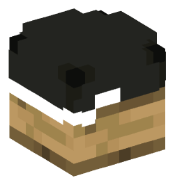 Minecraft head — Decor