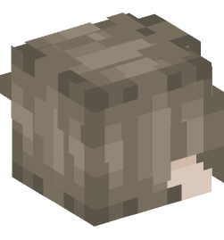 Minecraft head — People