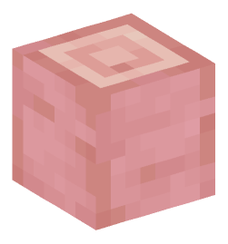 Minecraft head — Blocks