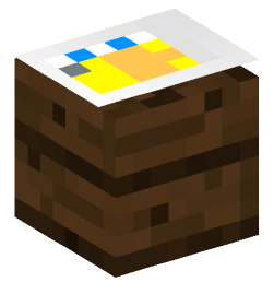 Minecraft head — Decor