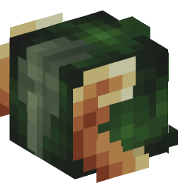 Minecraft head — People