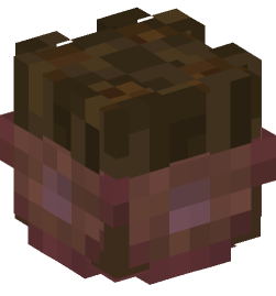 Minecraft head — Decor