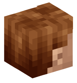 Minecraft head — People