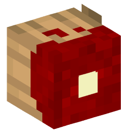 Minecraft head — People