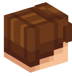 Minecraft head — People