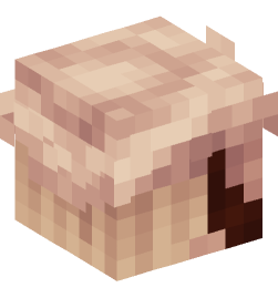 Minecraft head — People