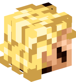 Minecraft head — People