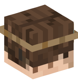 Minecraft head — People