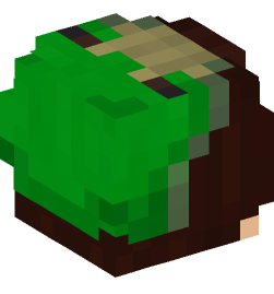 Minecraft head — People