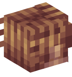 Minecraft head — People