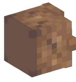 Minecraft head — Decor