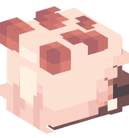 Minecraft head — People