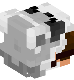 Minecraft head — People