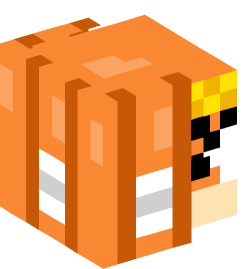 Minecraft head — Creatures