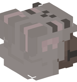Minecraft head — People