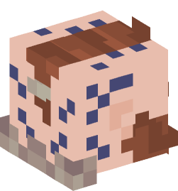 Minecraft head — People