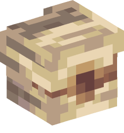 Minecraft head — People