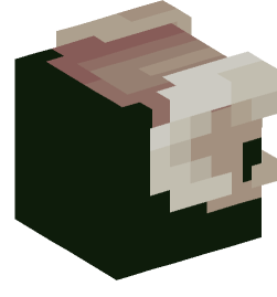 Minecraft head — Decor