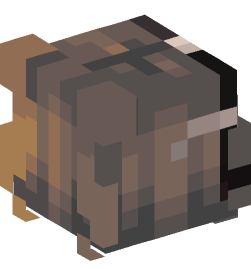 Minecraft head — People