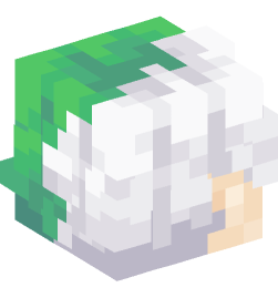 Minecraft head — People