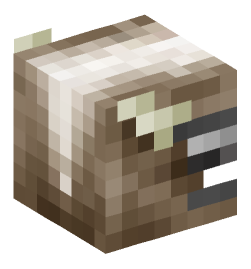 Minecraft head — Creatures