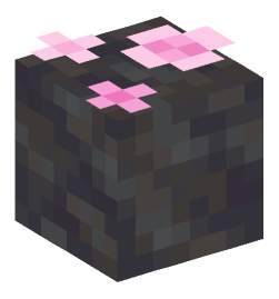 Minecraft head — Plants