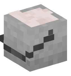 Minecraft head — Decor