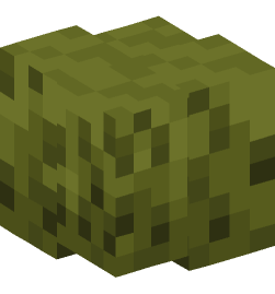 Minecraft head — Plants