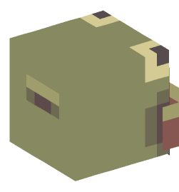 Minecraft head — People