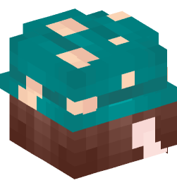 Minecraft head — People