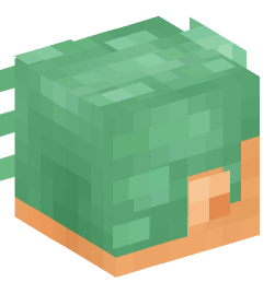 Minecraft head — People