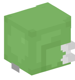 Minecraft head — People