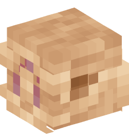 Minecraft head — People