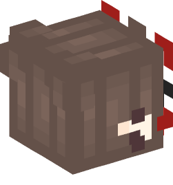 Minecraft head — People