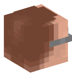 Minecraft head — People