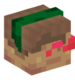 Minecraft head — People