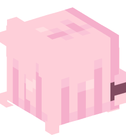 Minecraft head — People